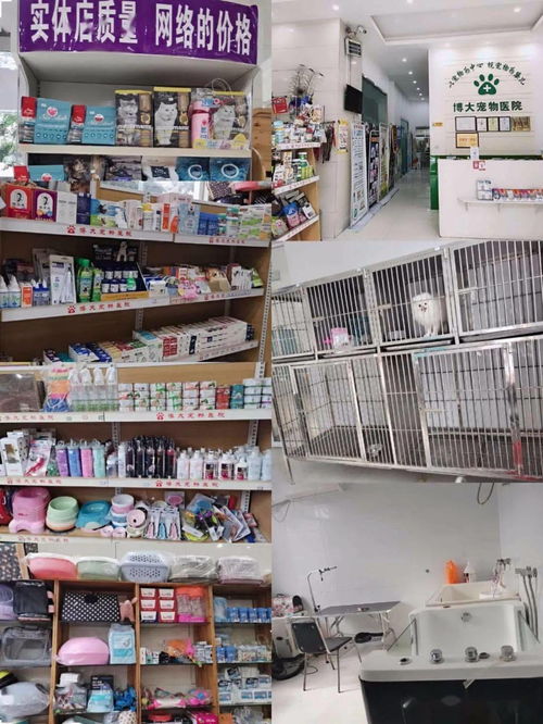 中秋國慶 雙節鉅惠 ,博大寵物醫院全場大促,中秋國慶不打烊