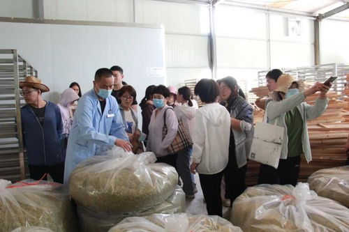 主題教育│四送四進(jìn)四提升 發(fā)揚(yáng)神農(nóng)精神 傳承國(guó)藥精粹——濱州市中醫(yī)醫(yī)院聯(lián)合濱州市疾控中心、濱北街道總工會(huì)開(kāi)展黨員志愿服務(wù)活動(dòng)