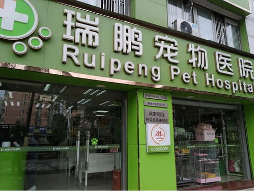 寵物賽道爆發 上市融資熱潮下，山東搶占產業先機